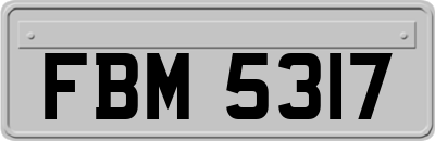 FBM5317