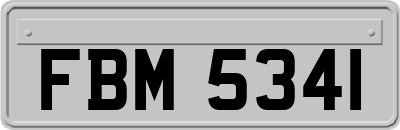 FBM5341