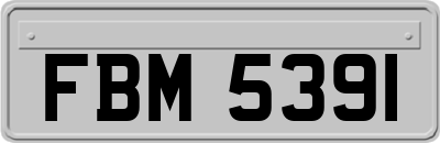 FBM5391