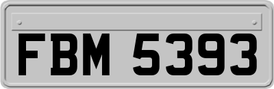 FBM5393