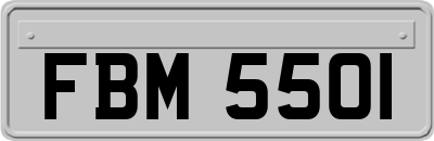 FBM5501