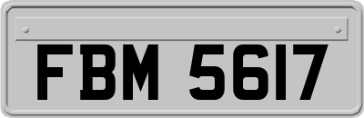 FBM5617