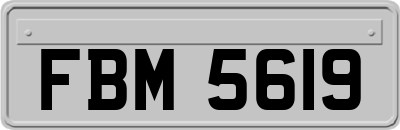 FBM5619
