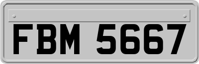 FBM5667