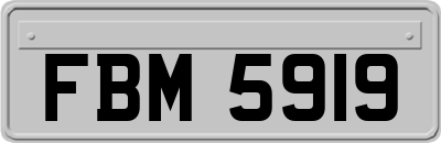 FBM5919