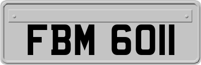 FBM6011