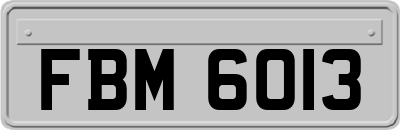 FBM6013