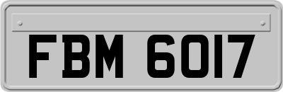 FBM6017