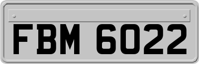 FBM6022
