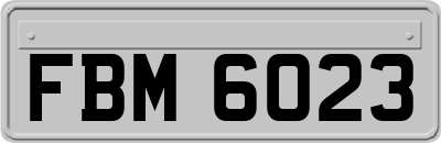 FBM6023