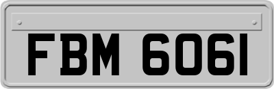 FBM6061