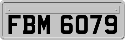 FBM6079