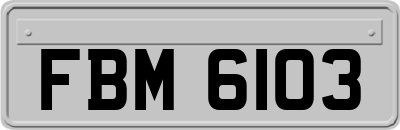 FBM6103