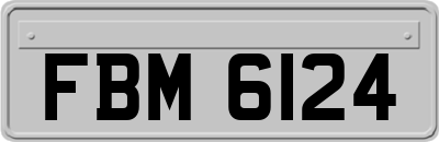 FBM6124