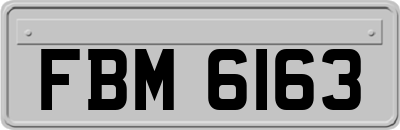 FBM6163
