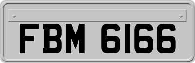 FBM6166