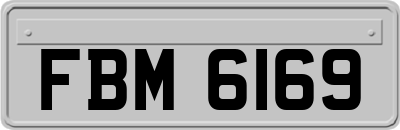 FBM6169