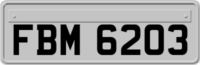 FBM6203