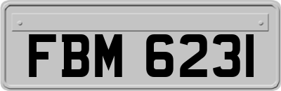 FBM6231