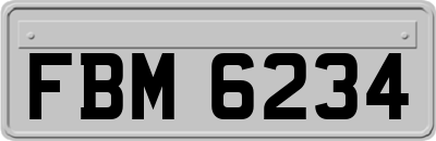 FBM6234