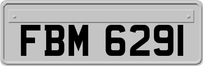 FBM6291
