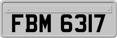 FBM6317