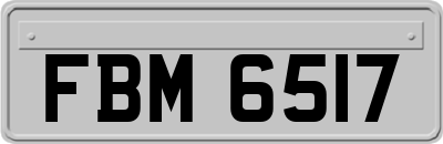 FBM6517