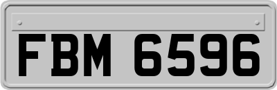 FBM6596