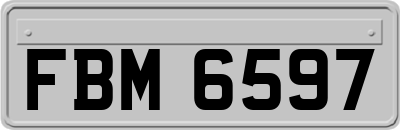 FBM6597
