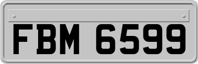 FBM6599