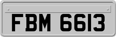 FBM6613