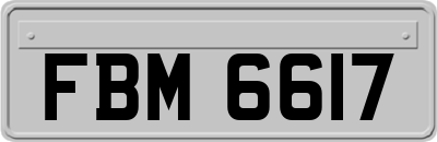 FBM6617