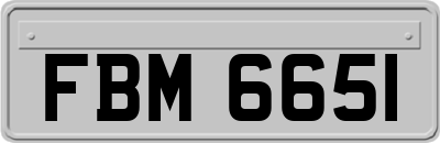 FBM6651