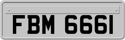 FBM6661