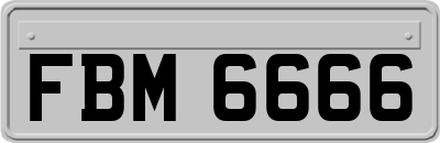 FBM6666