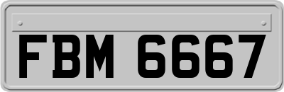 FBM6667