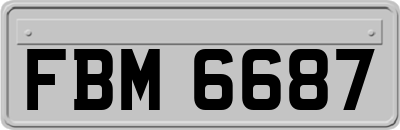 FBM6687