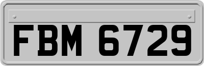 FBM6729