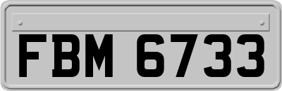FBM6733