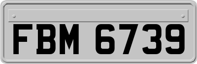 FBM6739