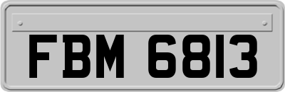 FBM6813