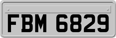 FBM6829
