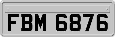 FBM6876
