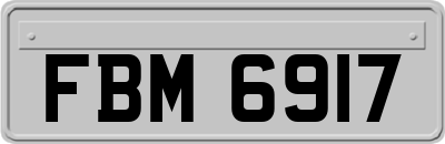FBM6917