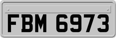 FBM6973