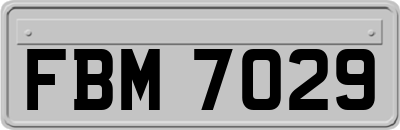 FBM7029