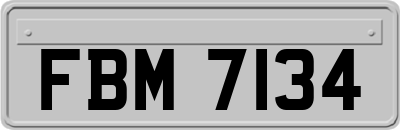 FBM7134