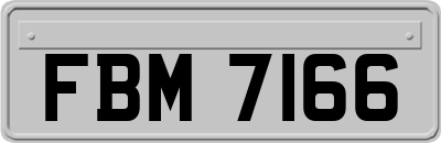 FBM7166