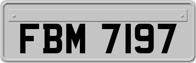 FBM7197