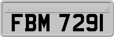 FBM7291